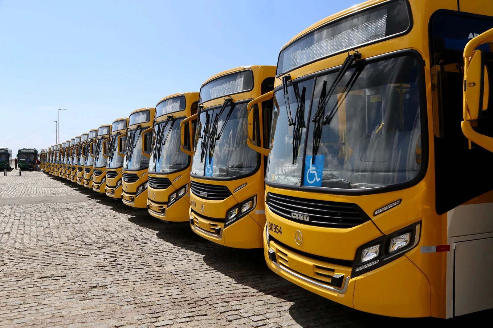 Imagem de ônibus amarelinhos 