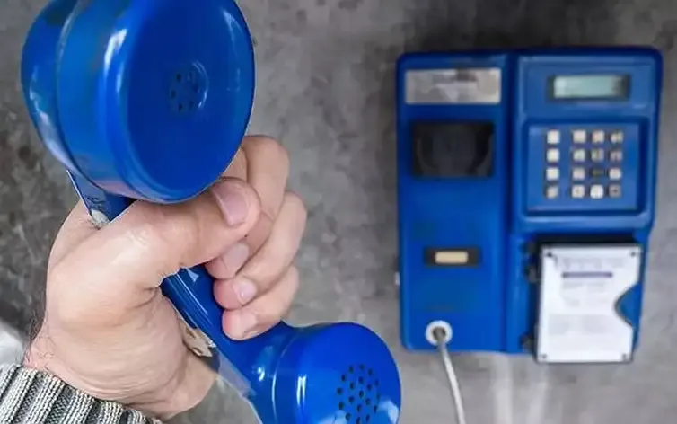 Orelh&otilde;es Ser&atilde;o Retirados Das Ruas De Todo O Brasil Foto De  Rafa Neddermeyer Ag&ecirc;ncia Brasil