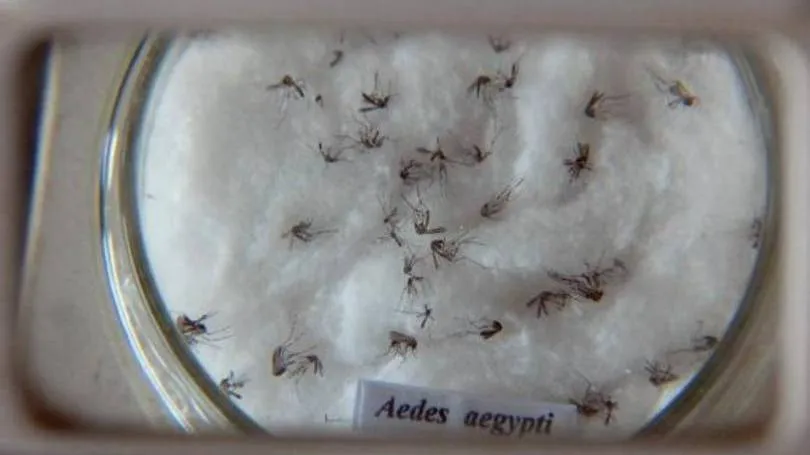 Por crescimento de Zika no estado, Ministro da Saúde visita Salvador neste sábado