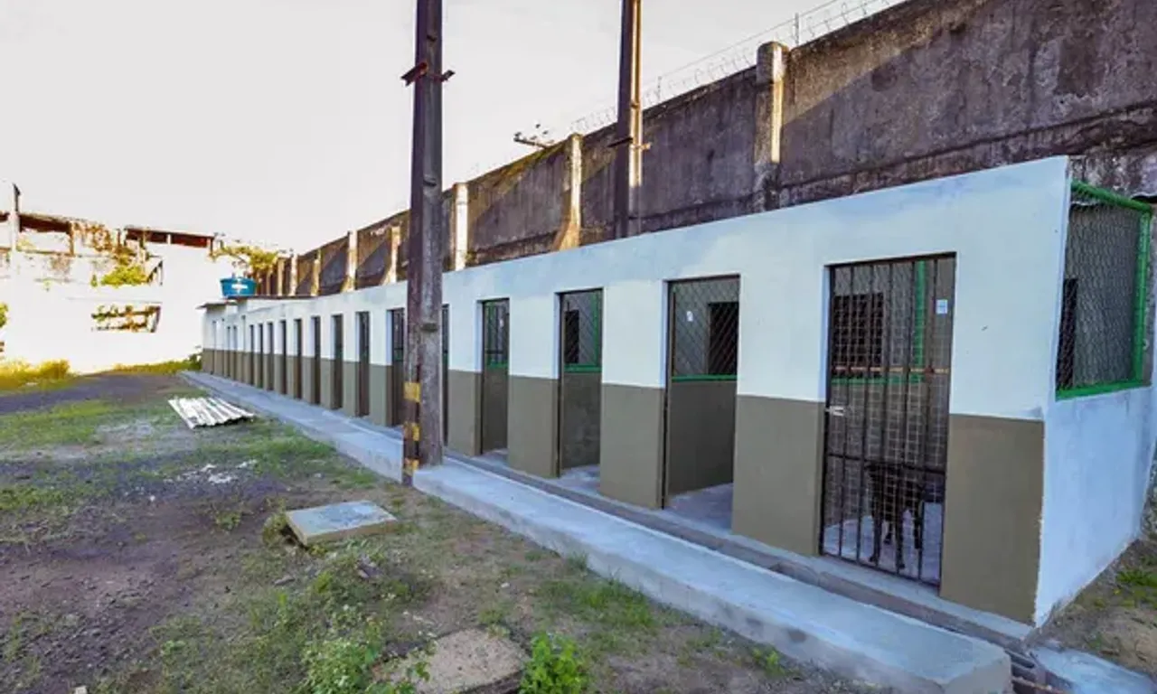 C&atilde;es Da Brigada K9 Acolhidos Em Estrutura Provis&oacute;ria Ap&oacute;s Retirada Do Espa&ccedil;o Jequitaia, Em Salvador.