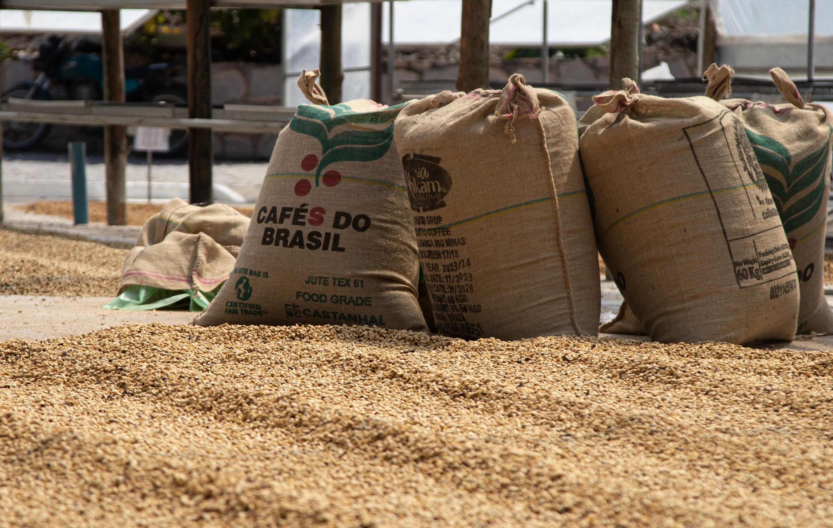 Festival Baiano De Cafés 2025 Tem Ingressos À Venda a Partir Desta Quinta Feira (24); Evento Acontece Nos Dias 16 E 17 De Agosto, Em Salvador