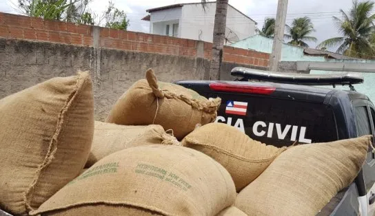 Dupla que roubou mais de 700 kg de café é presa em Eunápolis, extremo sul da Bahia 