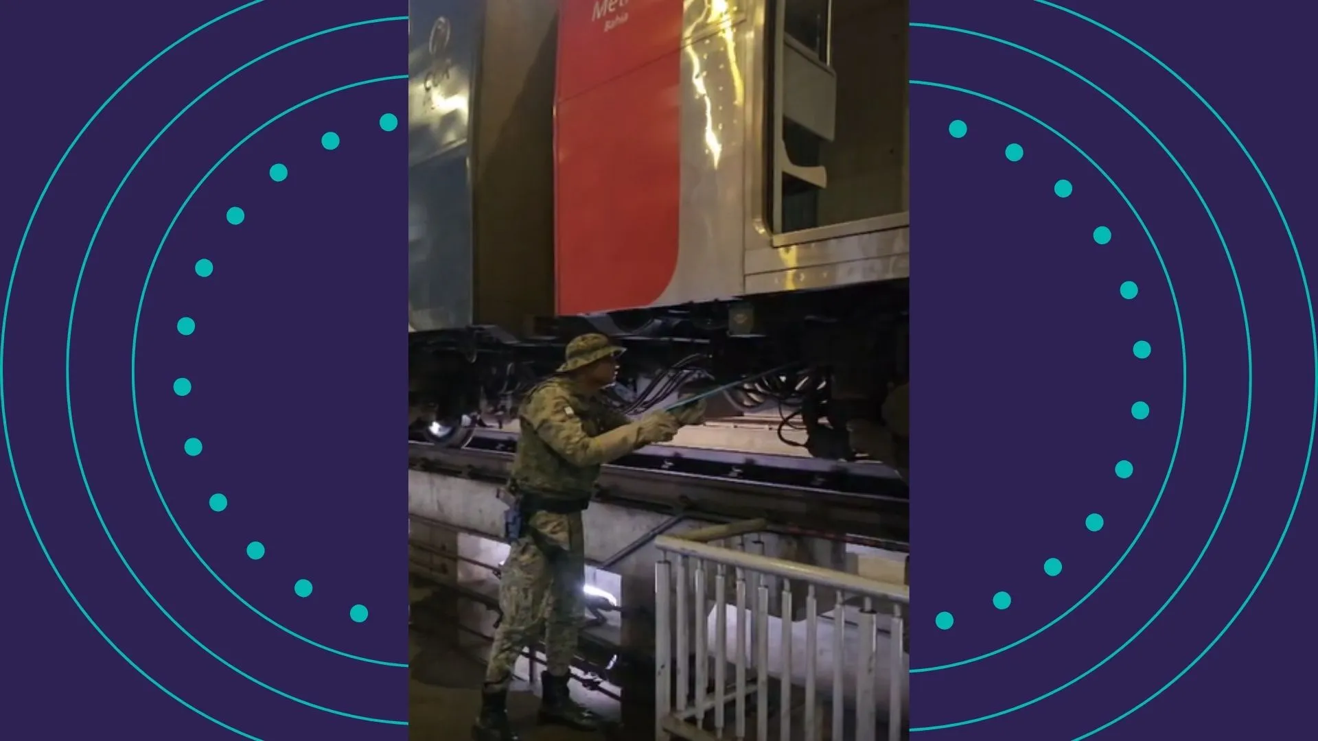 Iguana resgatada após ser encontrada nos trilhos do metrô de Salvador durante manutenção 