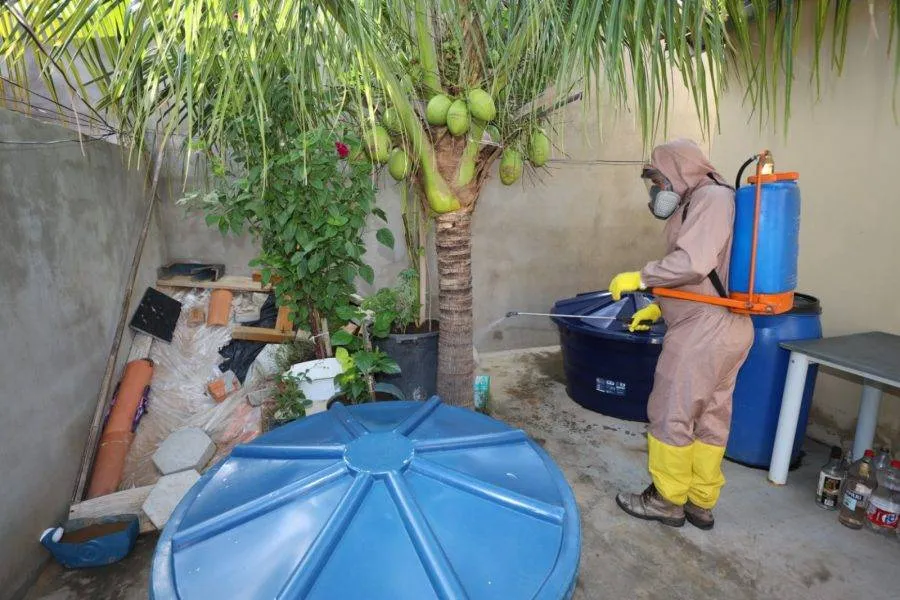 Cenário da dengue na Bahia tem tendência de queda, afirma Centro de Operações de Emergência em Saúde
