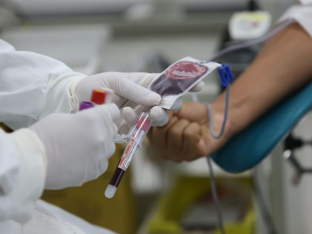 Saiba quem pode ser doador de sangue, como funciona o processo de doação e onde encontrar pontos de coleta na Bahia. Foto: Divulgação/Sesab