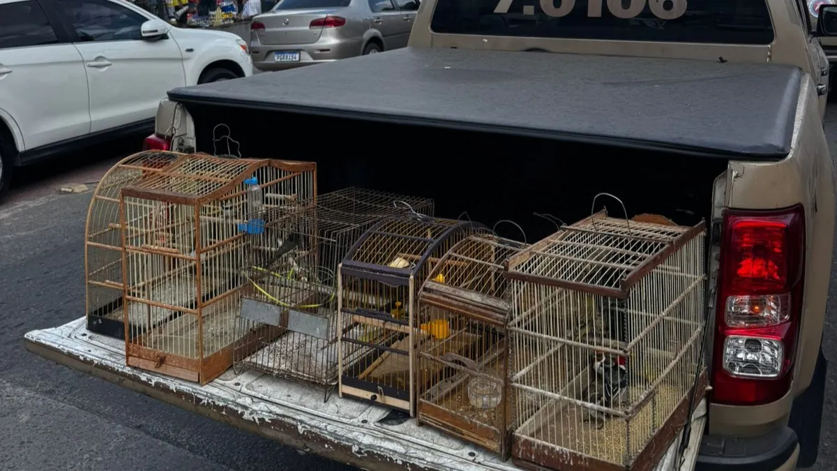 Polícia resgata 55 aves silvestres em Simões Filho