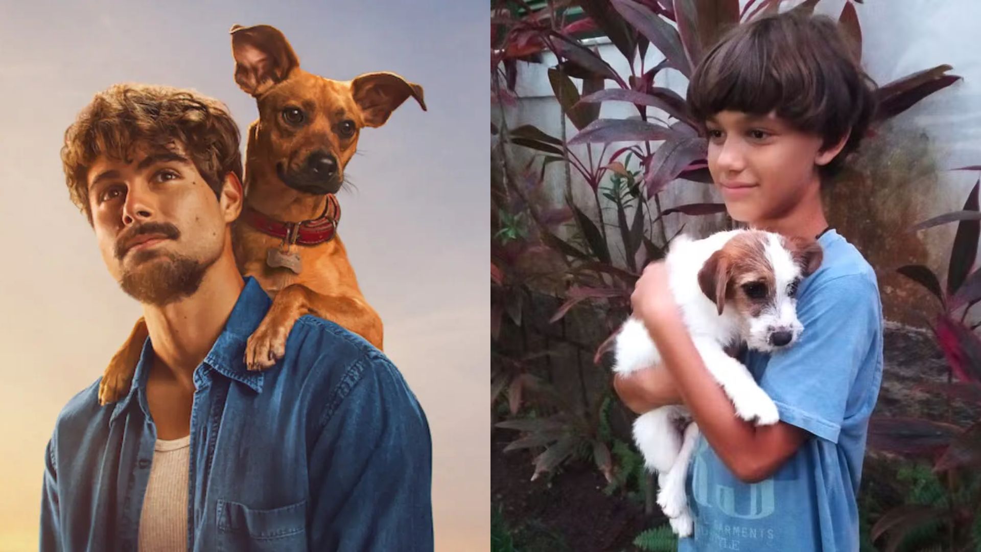 Caramelo e Pimpão de Ainda Estou Aqui