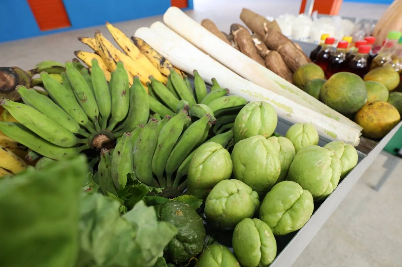 Valor da Cesta Básica em Salvador fica R$ 9,72 mais barata no mês de setembro