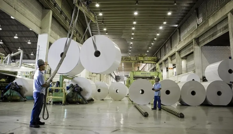 REFORMA AGRÁRIA: Em protesto, integrantes do MST ocupam fábrica de papel e celulose no sul da Bahia