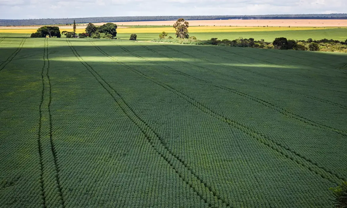  Infraestrutura, insegurança e seca: Desafios do agronegócio na Bahia; CNA/ Wenderson Araujo/Trilux