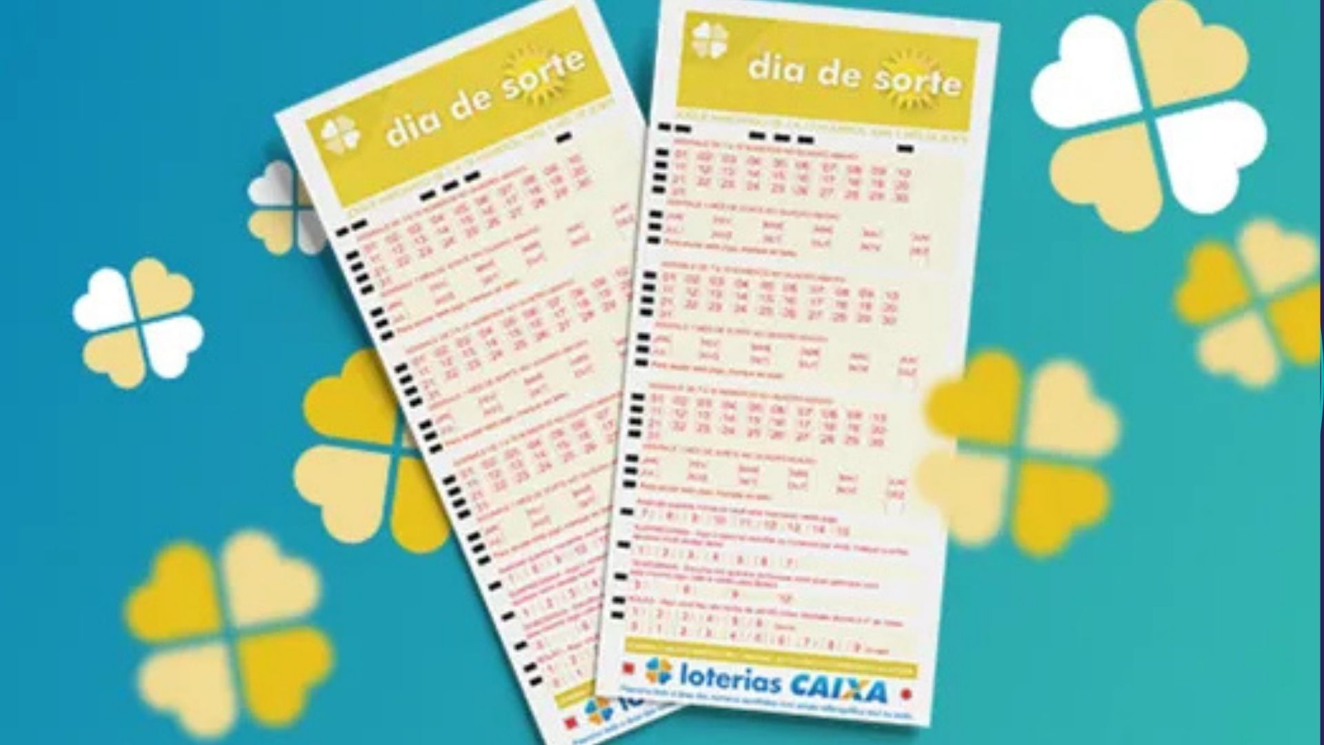 Dia De Sorte. Foto: Sorteio
