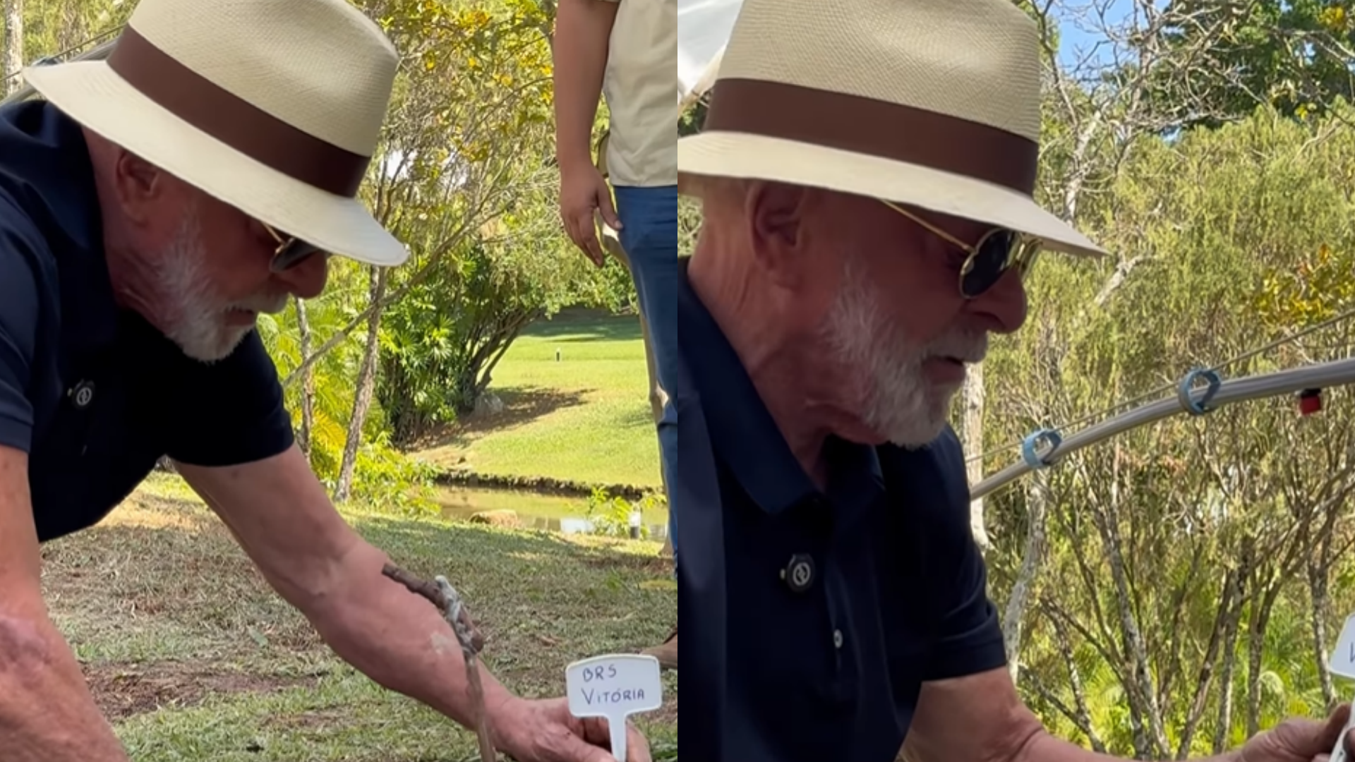 Presidente Lula plantando uvas. Foto: Reprodução/ @janjalula 