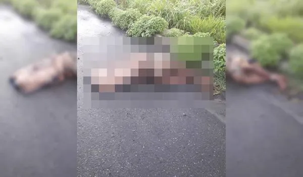 Corpo é encontrado enrolado em tapete em Simões Filho