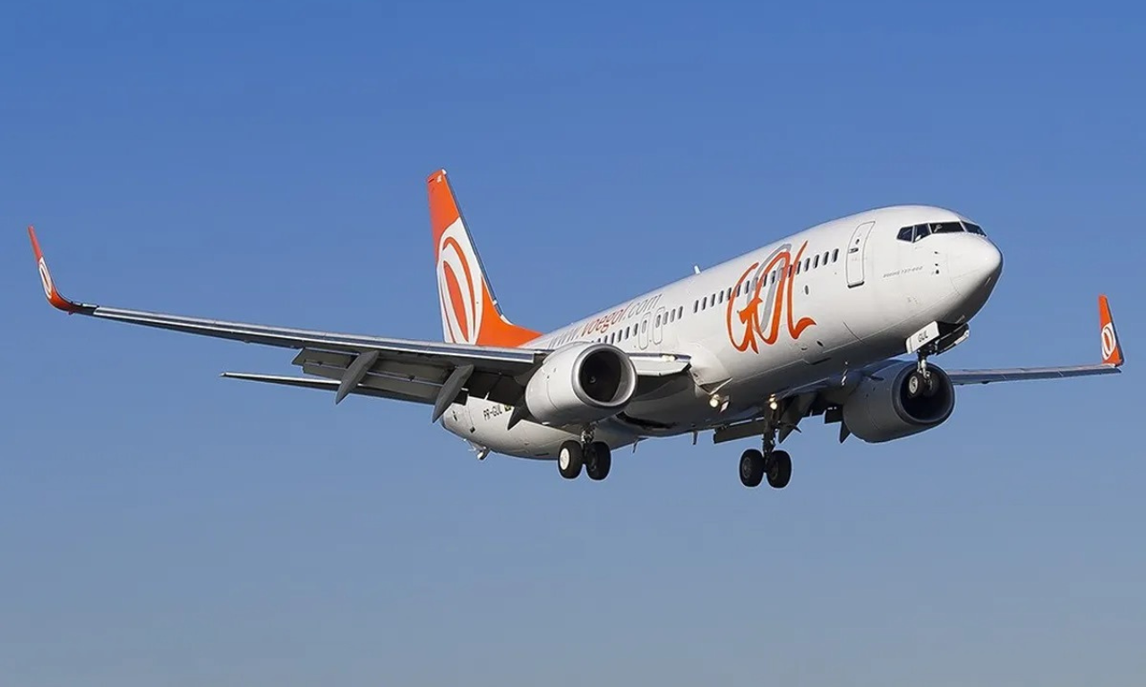 Avião colide com pássaro durante voo. Foto: Divulgação | Gol