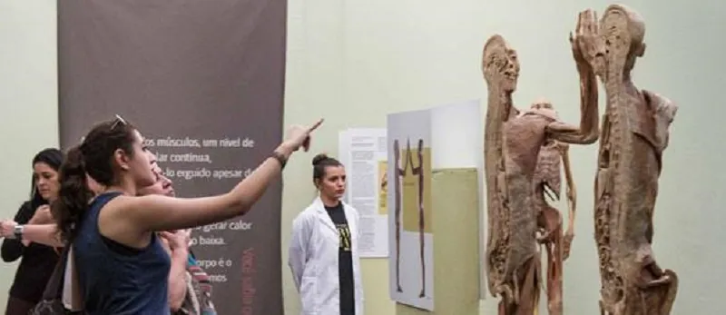 Últimos dias da exposição ?O Fantástico Corpo Humano? em Salvador