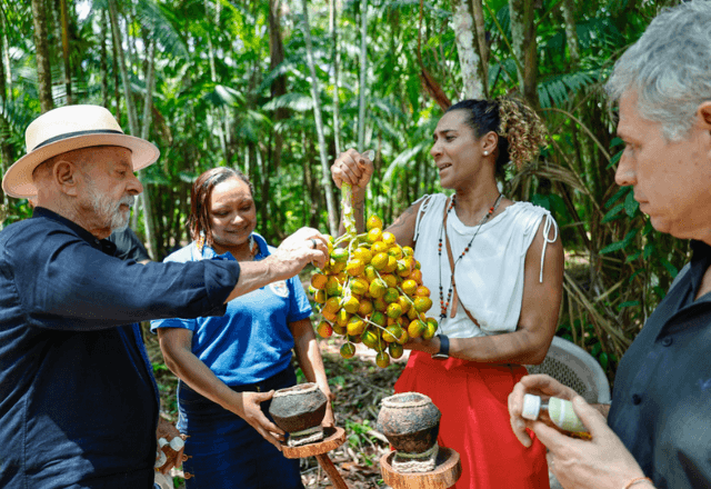 Visita Ao Projeto De Assentamento Agroextrativista (pae) De Ilha Grande Ricardo Stuckert Pr