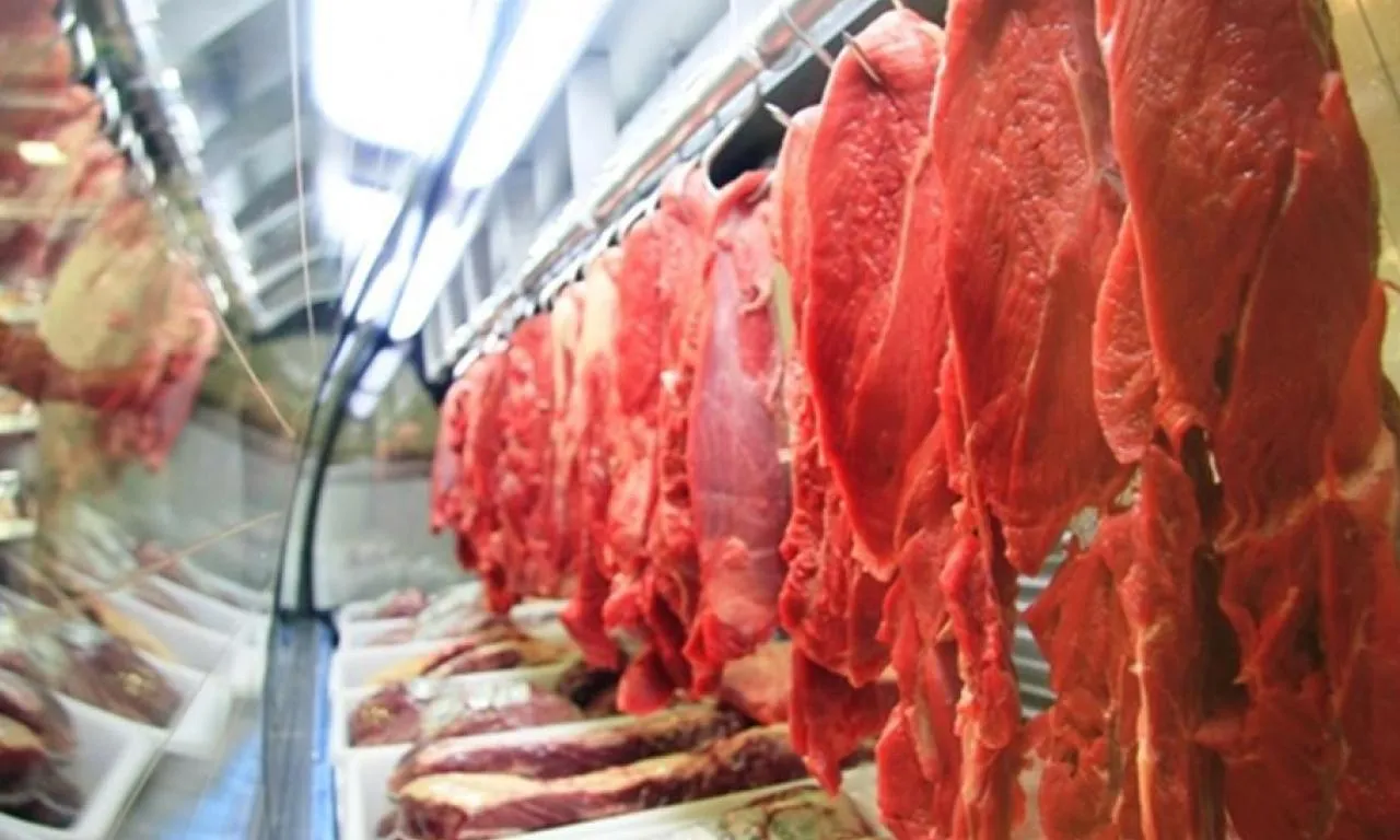 Carne
