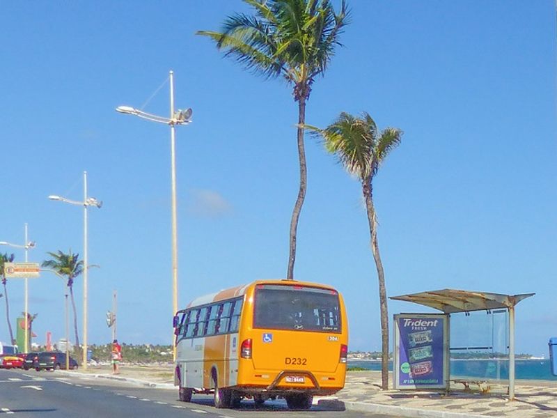 A nova frota de ônibus em Salvador está trazendo melhorias significativas para o transporte público da cidade, com destaque para a renovação com veículos mais modernos e confortáveis, incluindo ar condicionado e acessibilidade/Foto: Reprodução 