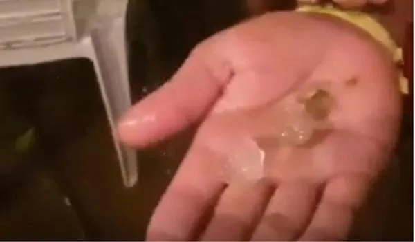 Moradores do Sul baiano registram chuva de granizo em vídeo; assista 