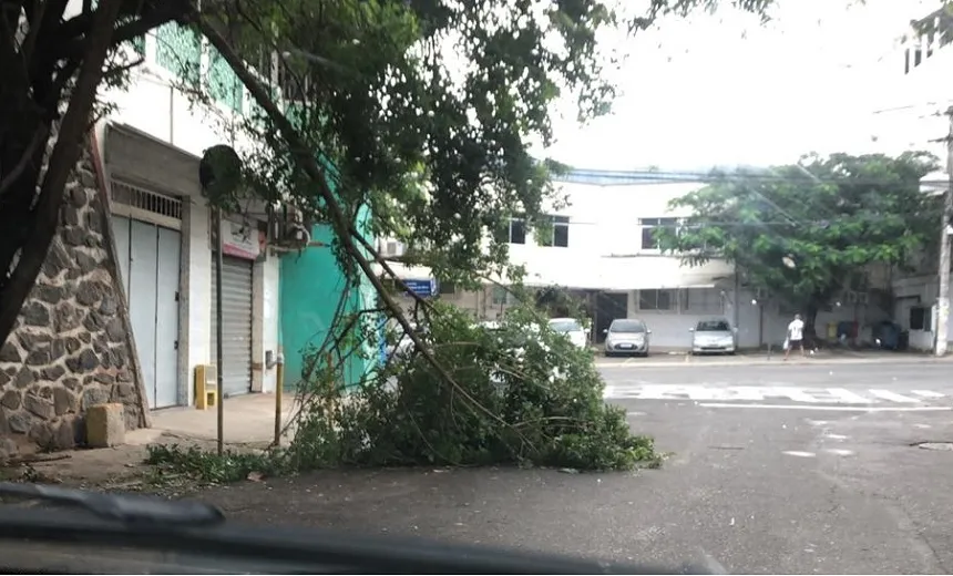 Galhos de árvores caem sobre pistas e prejudicam trânsito nos bairros da Federação e Barra