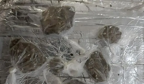 "Falso ambulante" é flagrado com drogas dentro de isopor em ônibus de Salvador