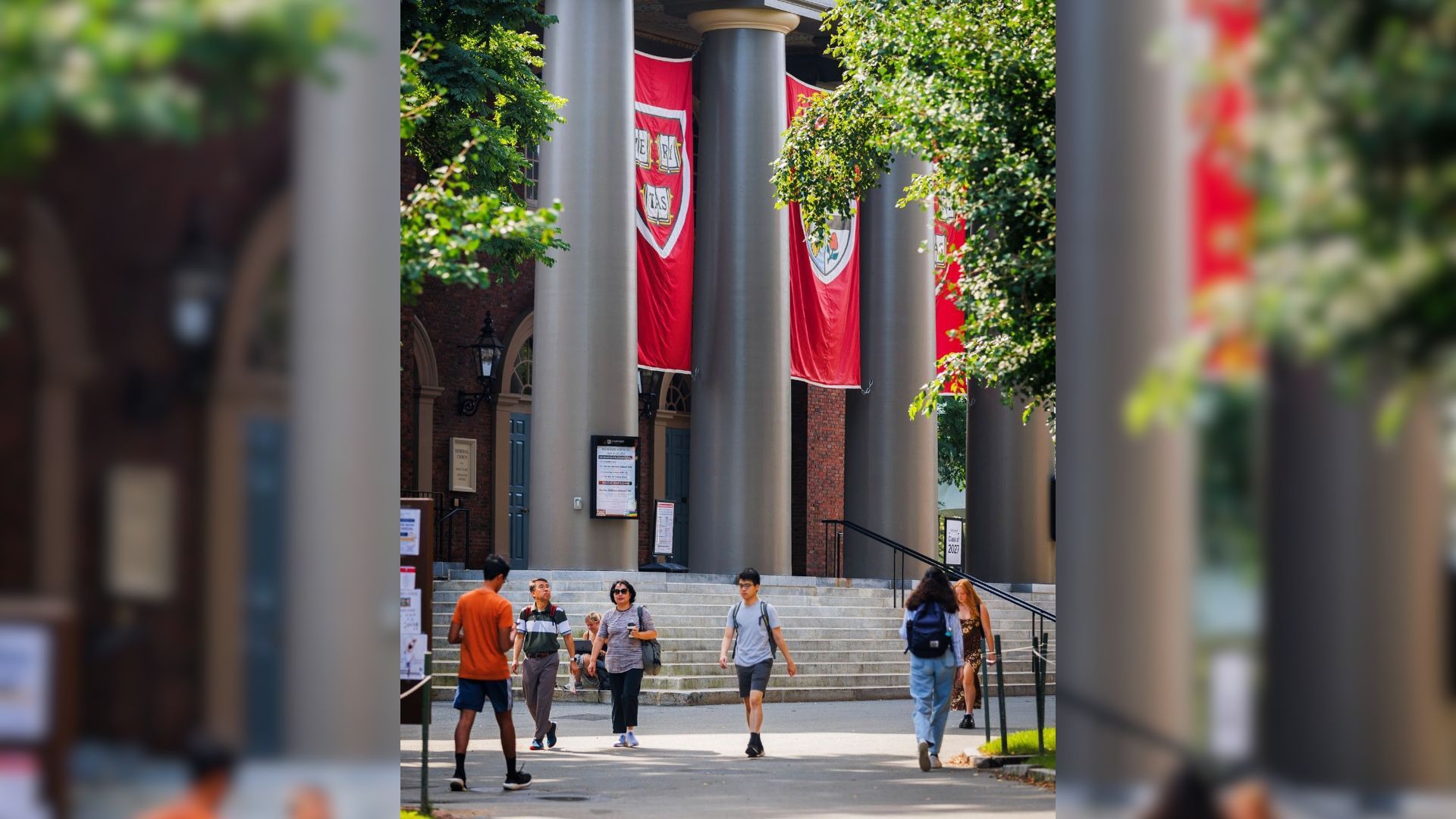 Harvard | Foto: reprodução/Instagram