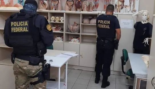 Carga exótica: professor de anatomia é investigado por tráfico internacional de órgãos após exportar uma mão e três placentas