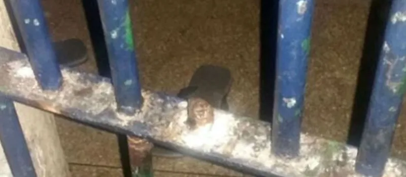 COM A BOCA NA BOTIJA: Polícia impede fuga de presos de delegacia em Brumado