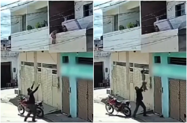Criança sacada