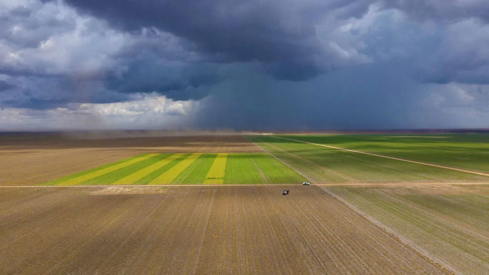 Agronegócio na Bahia: potência econômica, principais produtos e desafios