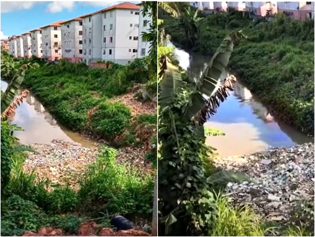 Moradores afirma que o catador foi atacado por uma cobra sucuri, na terça-feira. Foto: TV Aratu