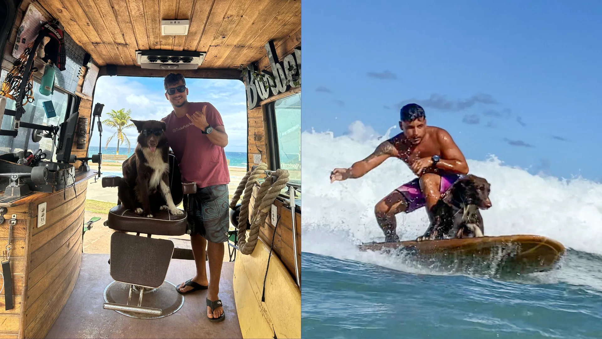 Cão surfista? Brasileiro viaja com cachorro em motorhome para Mundial de Surf Dog