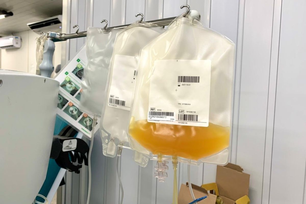 Hemoba lança campanha para doação de plaquetas devido estoque crítico. Foto: Hemoba