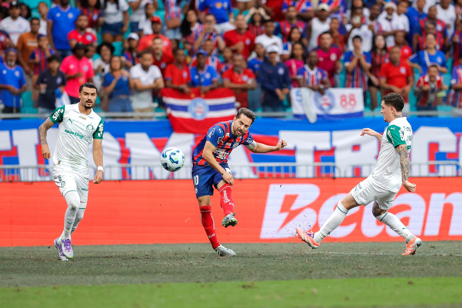 Bahia venceu o Palmeiras por 1 a 0. Foto: Rafael Ribeiro | ECB