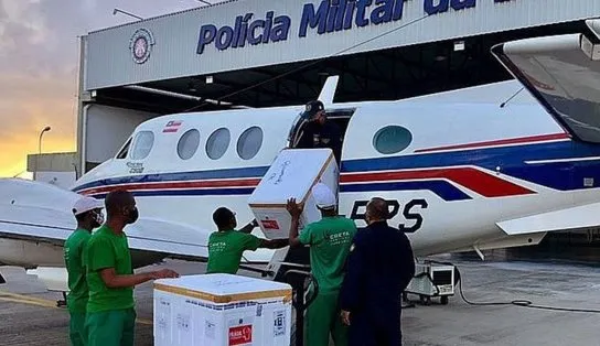 Novo lote com mais de 200 mil doses de vacinas da Pfizer chega à Bahia
