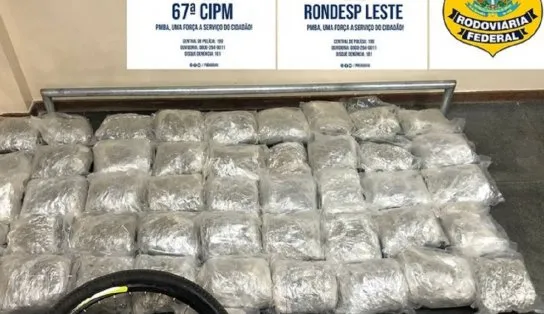 Polícia apreende mais de 50 kg de maconha em Feira de Santana; droga era transportada em um carro