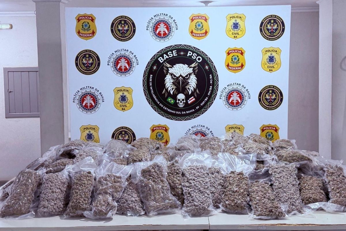 PF apreende mais de 100 kg de maconha enviada do Rio de Janeiro para Bahia. Foto: PF