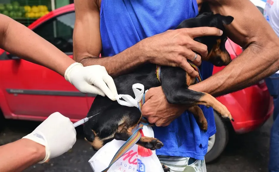 Salvador intensifica vacinação antirrábica neste fim de semana