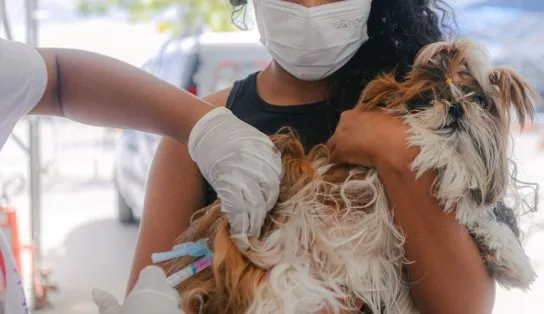 Não perca o prazo: campanha de vacinação contra raiva entra em sua última semana, em Salvador