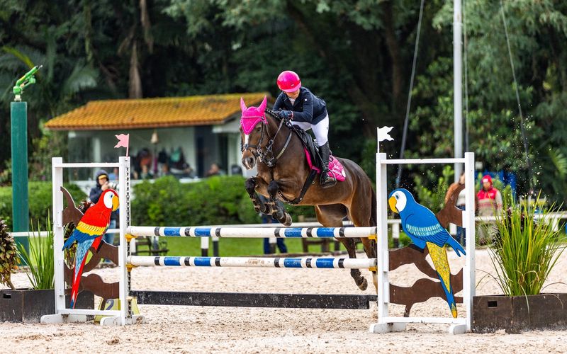 O Hipismo baiano volta a ganhar espa&ccedil;o no cen&aacute;rio internacional. Ap&oacute;s cerca de 20 anos, uma amazona da Bahia integra novamente a equipe brasileira em uma competi&ccedil;&atilde;o Sul-Americana/Foto: Arquivo pessoal&nbsp;