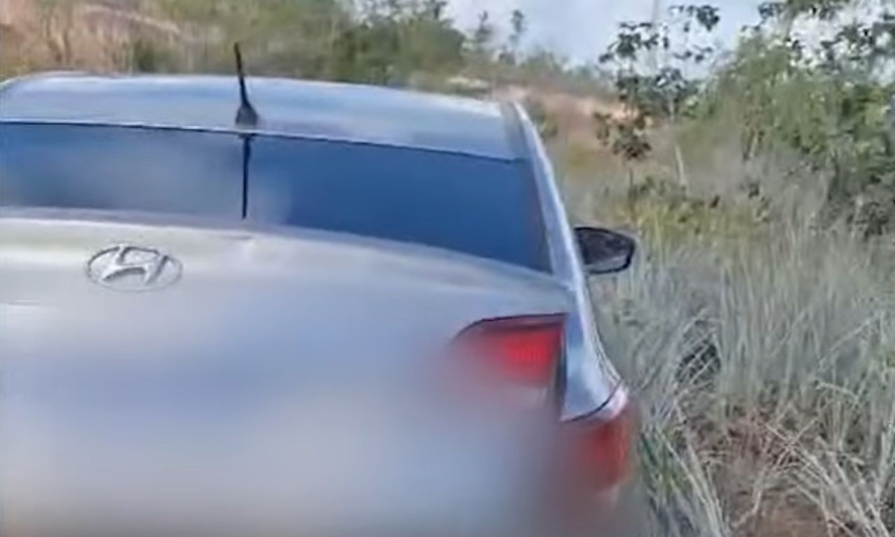 Corpos Encontrados Na Linha Verde