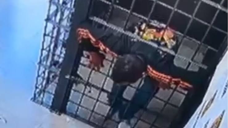 Preso Foge De Cela Ao Passar Por Vão Entre as Grades