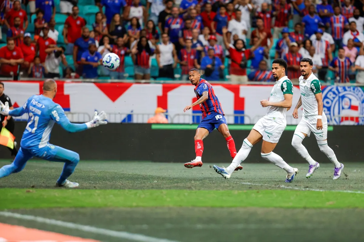 grama da Fonte Nova Bahia e Palmeiras