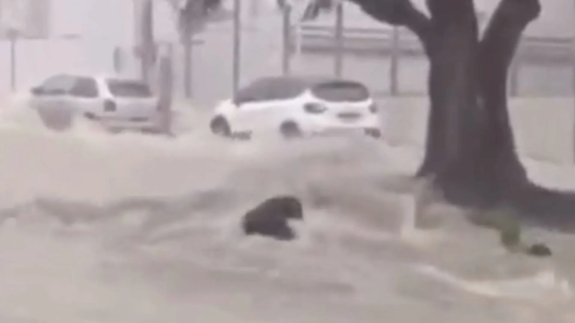 VÍDEO: Idoso é arrastado por enxurrada durante temporal em Vitória da Conquista