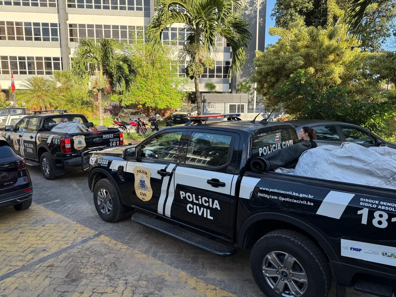 Polícia Civil queima 370 kg de drogas em operação de combate ao tráfico na Bahia