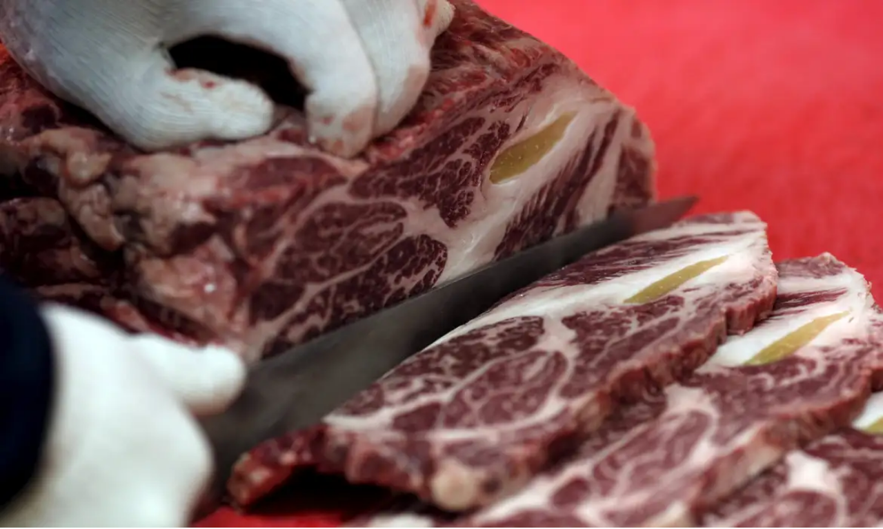 Uni&atilde;o Europeia suspende importa&ccedil;&atilde;o de carne bovina brasileira e exige garantias sanit&aacute;rias. Foto: Ag&ecirc;ncia Brasil