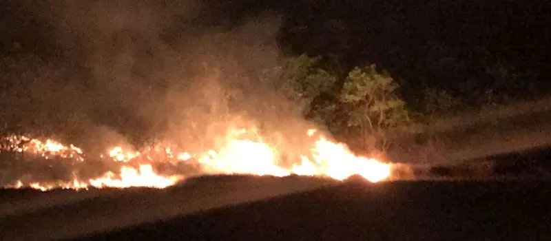 ASSISTA: Combate a incêndio em Guarajuba é intensificado; Chamas começaram próximo à condomínio