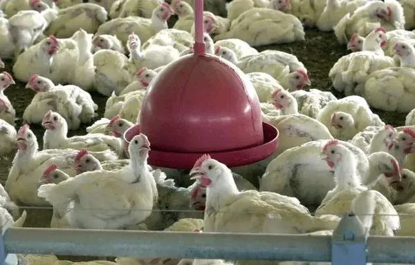 Foto: arquivo/Agência Brasil