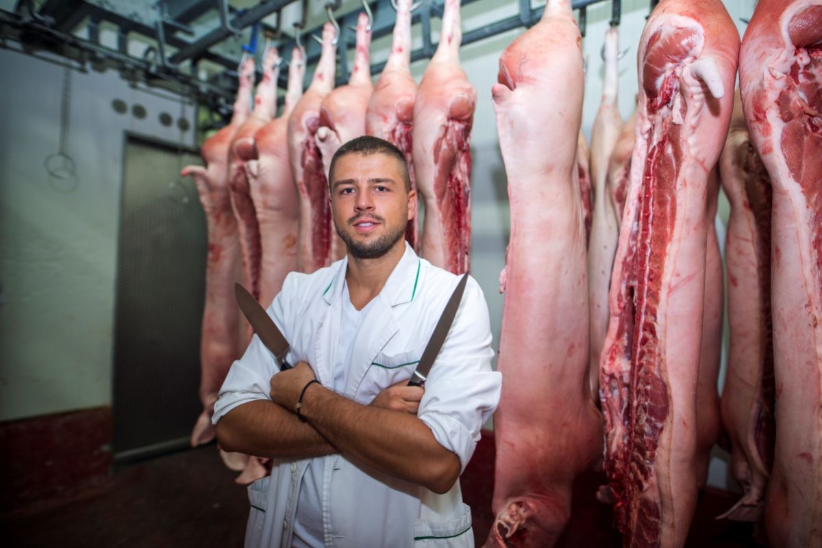 Entre as vagas de emprego ofertadas nesta terça estão: açougueiro, telemarketing, churrasqueiro, jardineiro e ajudante de carga e descarga. Foto: Ilustrativa/Freepik