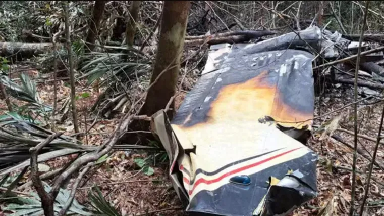 Avião caiu em uma área isolada da selva e pegou fogo. Foto: Divulgação / FAB